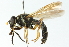  ( - CNC DIPTERA 54376)  @14 [ ] CreativeCommons - Attribution (2011) CNC/CBG Photography Group Centre for Biodiversity Genomics