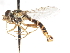  ( - CNC DIPTERA 76128)  @13 [ ] CreativeCommons - Attribution (2011) CNC/CBG Photography Group Centre for Biodiversity Genomics
