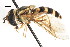  ( - HP196)  @12 [ ] CreativeCommons - Attribution (2011) CNC/CBG Photography Group Centre for Biodiversity Genomics