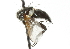  ( - CNC DIPTERA 104187)  @12 [ ] CreativeCommons - Attribution (2011) CNC/CBG Photography Group Centre for Biodiversity Genomics
