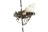  (Eribella polita - CNC DIPTERA 104824)  @13 [ ] CreativeCommons - Attribution (2011) CNC/CBG Photography Group Centre for Biodiversity Genomics