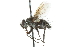  ( - CNC DIPTERA 104828)  @13 [ ] CreativeCommons - Attribution (2011) CNC/CBG Photography Group Centre for Biodiversity Genomics