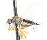  ( - CNC DIPTERA 105489)  @12 [ ] CreativeCommons - Attribution (2011) CNC/CBG Photography Group Centre for Biodiversity Genomics