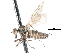  ( - CNC DIPTERA 103448)  @11 [ ] CreativeCommons - Attribution (2011) CNC/CBG Photography Group Centre for Biodiversity Genomics