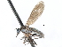  (Roederiodes distinctus - CNC DIPTERA 103452)  @14 [ ] CreativeCommons - Attribution (2011) CNC/CBG Photography Group Centre for Biodiversity Genomics