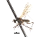  ( - CNC DIPTERA 103558)  @11 [ ] CreativeCommons - Attribution (2011) CNC/CBG Photography Group Centre for Biodiversity Genomics