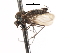  ( - CNC DIPTERA 103659)  @11 [ ] CreativeCommons - Attribution (2011) CNC/CBG Photography Group Centre for Biodiversity Genomics