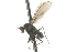  ( - CNC DIPTERA 105340)  @12 [ ] CreativeCommons - Attribution (2011) CNC/CBG Photography Group Centre for Biodiversity Genomics