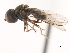  ( - CNC DIPTERA 2828)  @12 [ ] CreativeCommons - Attribution (2011) CNC/CBG Photography Group Centre for Biodiversity Genomics