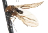  ( - CNC DIPTERA 103282)  @12 [ ] CreativeCommons - Attribution (2011) CNC/CBG Photography Group Centre for Biodiversity Genomics