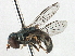  ( - CNC DIPTERA 134575)  @14 [ ] CreativeCommons - Attribution (2013) CNC/CBG Photography Group Centre for Biodiversity Genomics