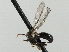  ( - CNC DIPTERA 135940)  @13 [ ] CreativeCommons - Attribution (2013) CBG Photography Group Centre for Biodiversity Genomics