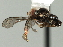  ( - CNC DIPTERA 158101)  @11 [ ] CreativeCommons - Attribution (2013) CNC/CBG Photography Group Centre for Biodiversity Genomics