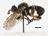  ( - JSS10572)  @11 [ ] CreativeCommons - Attribution (2013) CNC/CBG Photography Group Centre for Biodiversity Genomics