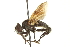  ( - CNC DIPTERA 161897)  @14 [ ] CreativeCommons - Attribution (2012) CNC/CBG Photography Group Centre for Biodiversity Genomics