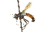  ( - CNC DIPTERA 161957)  @13 [ ] CreativeCommons - Attribution (2012) CNC/CBG Photography Group Centre for Biodiversity Genomics