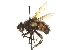  ( - CNC DIPTERA 162109)  @13 [ ] CreativeCommons - Attribution (2012) CNC/CBG Photography Group Centre for Biodiversity Genomics
