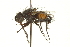  (Micronychia - CNC DIPTERA 162317)  @14 [ ] CreativeCommons - Attribution (2012) CNC/CBG Photography Group Centre for Biodiversity Genomics