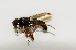  ( - CNC483095)  @11 [ ] No Rights Reserved (2015) Unspecified CNC