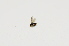  ( - CNC483169)  @11 [ ] No Rights Reserved (2015) Unspecified CNC