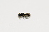  ( - CNC566618)  @11 [ ] No Rights Reserved (2015) Unspecified CNC