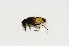  ( - CNC566625)  @11 [ ] No Rights Reserved (2015) Unspecified CNC