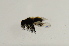  ( - CNC566714)  @12 [ ] No Rights Reserved (2015) Unspecified CNC