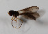  ( - CNC573173)  @11 [ ] No Rights Reserved (2015) Unspecified CNC