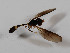  ( - CNC573356)  @11 [ ] No Rights Reserved (2015) Unspecified CNC