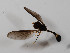  ( - CNC573745)  @11 [ ] No Rights Reserved (2015) Unspecified CNC