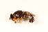  ( - CNC574984)  @12 [ ] No Rights Reserved (2015) Unspecified CNC