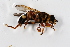  ( - CNC574985)  @12 [ ] No Rights Reserved (2015) Unspecified CNC