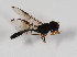  ( - CNC575006)  @12 [ ] No Rights Reserved (2015) Unspecified CNC