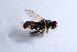  ( - CNC590668)  @11 [ ] No Rights Reserved (2015) Unspecified CNC