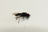  ( - S._Bot_Specimen187)  @11 [ ] No Rights Reserved (2015) Unspecified CNC