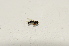  ( - S._Bot_Specimen85)  @11 [ ] No Rights Reserved (2015) Unspecified CNC