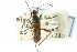  ( - CNC#HEM300458)  @11 [ ] CreativeCommons - Attribution (2011) CNC/CBG Photography Group Centre for Biodiversity Genomics