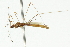  ( - CNC#HEM300469)  @12 [ ] CreativeCommons - Attribution (2011) CNC/CBG Photography Group Centre for Biodiversity Genomics