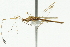  ( - CNC#HEM300470)  @13 [ ] CreativeCommons - Attribution (2011) CNC/CBG Photography Group Centre for Biodiversity Genomics