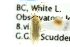  ( - CNC#HEM300761)  @11 [ ] CreativeCommons - Attribution (2011) CNC/CBG Photography Group Centre for Biodiversity Genomics