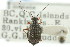  ( - CNC#HEM300897)  @11 [ ] CreativeCommons - Attribution (2011) CNC/CBG Photography Group Centre for Biodiversity Genomics