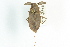  ( - CNC#HEM301048)  @14 [ ] CreativeCommons - Attribution (2011) CNC/CBG Photography Group Centre for Biodiversity Genomics