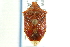  ( - CNC#HEM301299)  @11 [ ] CreativeCommons - Attribution (2011) CNC/CBG Photography Group Centre for Biodiversity Genomics