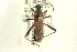  ( - CNC#HEM301333)  @13 [ ] CreativeCommons - Attribution (2011) CNC/CBG Photography Group Centre for Biodiversity Genomics