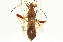  ( - CNC#HEM400346)  @11 [ ] CreativeCommons - Attribution (2011) CNC/CBG Photography Group Centre for Biodiversity Genomics