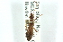  ( - CNC#HEM400351)  @11 [ ] CreativeCommons - Attribution (2011) CNC/CBG Photography Group Centre for Biodiversity Genomics