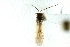  ( - CNC#PBI00394072)  @13 [ ] CreativeCommons - Attribution (2011) CNC/CBG Photography Group Centre for Biodiversity Genomics