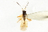  ( - CNC#PBI00394192)  @13 [ ] CreativeCommons - Attribution (2011) CNC/CBG Photography Group Centre for Biodiversity Genomics
