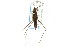  ( - CNC#HEM302822)  @11 [ ] CreativeCommons - Attribution (2011) CNC/CBG Photography Group Centre for Biodiversity Genomics