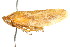  ( - CNC#HEM400941)  @13 [ ] CreativeCommons - Attribution (2011) CNC/CBG Photography Group Centre for Biodiversity Genomics